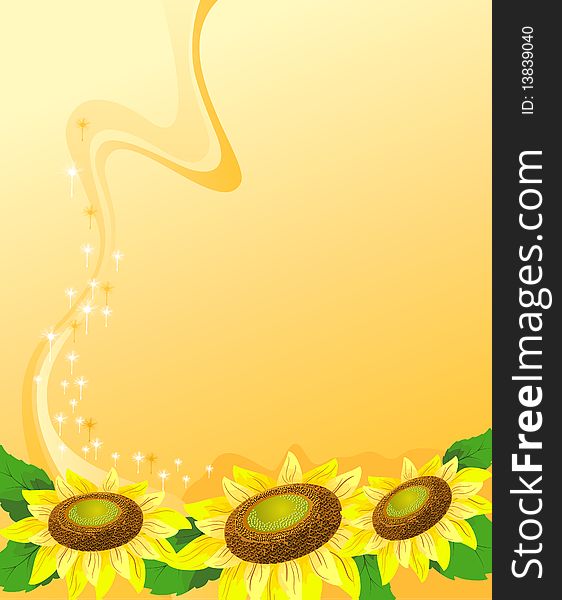 Illustration sunflowers on a orange background