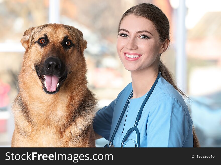 Veterinarian doc with dog in clinic