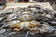 Flower Crabs In The Wet Market Royalty Free Stock Photos Flower Crabs In The Wet Market Royalty Free Stock Photos