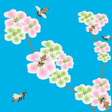 Spring Flowers  With Bees Stock Images
