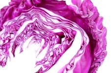 Cutted Violet Cabbage Isolated On White Royalty Free Stock Photos Cutted Violet Cabbage Isolated On White Royalty Free Stock Photos