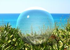 Glass Ball. Royalty Free Stock Photo