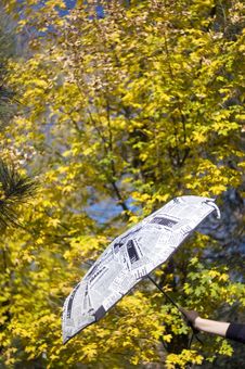 Umbrella And Autumn Leaves On Background Royalty Free Stock Photo Umbrella And Autumn Leaves On Background Royalty Free Stock Photo