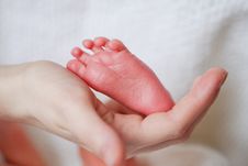 Adorable Newborn Baby Feet Royalty Free Stock Images