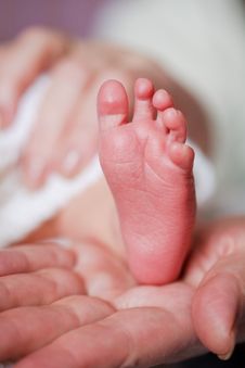 Adorable Newborn Baby Feet Stock Photography