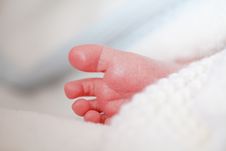 Adorable Newborn Baby Feet Stock Image