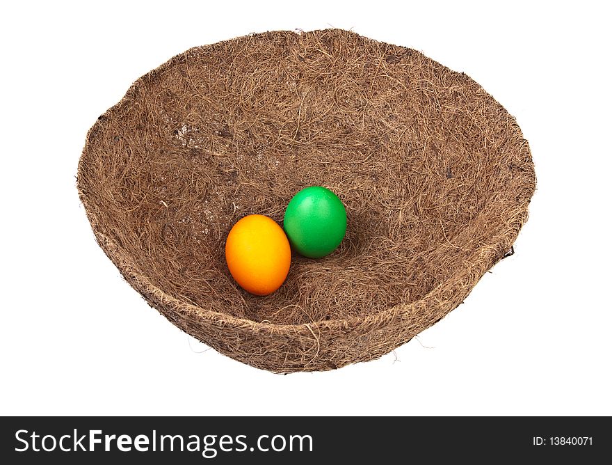 Colores eggs in a nest