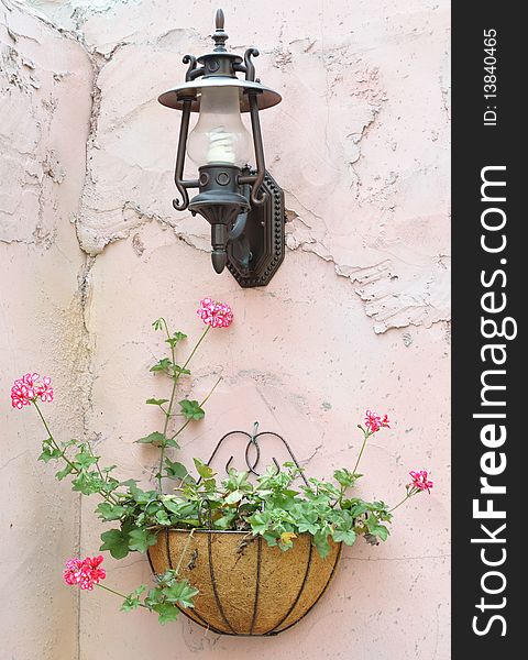 A pot of flower and a light hang on the pink wall. A pot of flower and a light hang on the pink wall