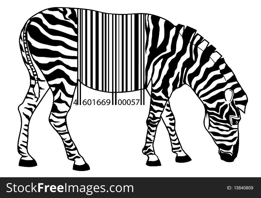 The image of a zebra in the form of a black-and-white contour with a stroke-code on a back instead of strips and figures, abstraction on a white background