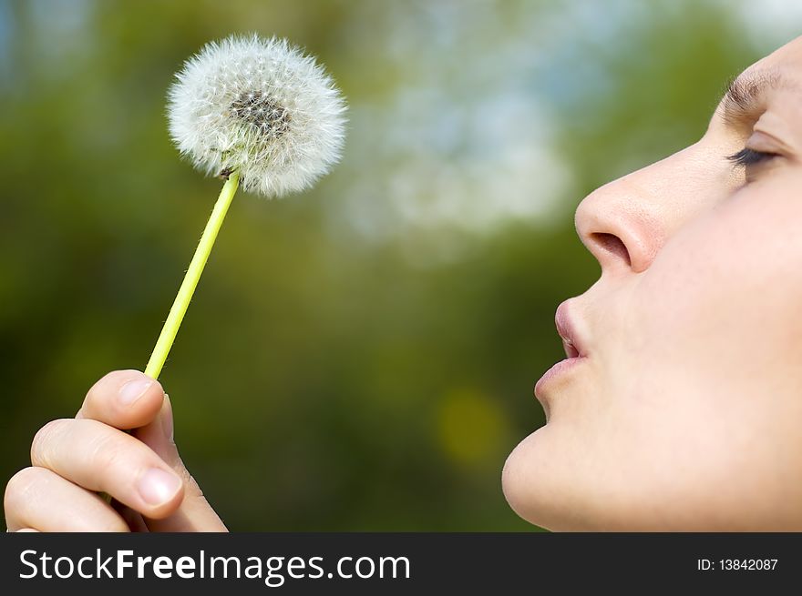 Young woman holding a dandelion. Young woman holding a dandelion
