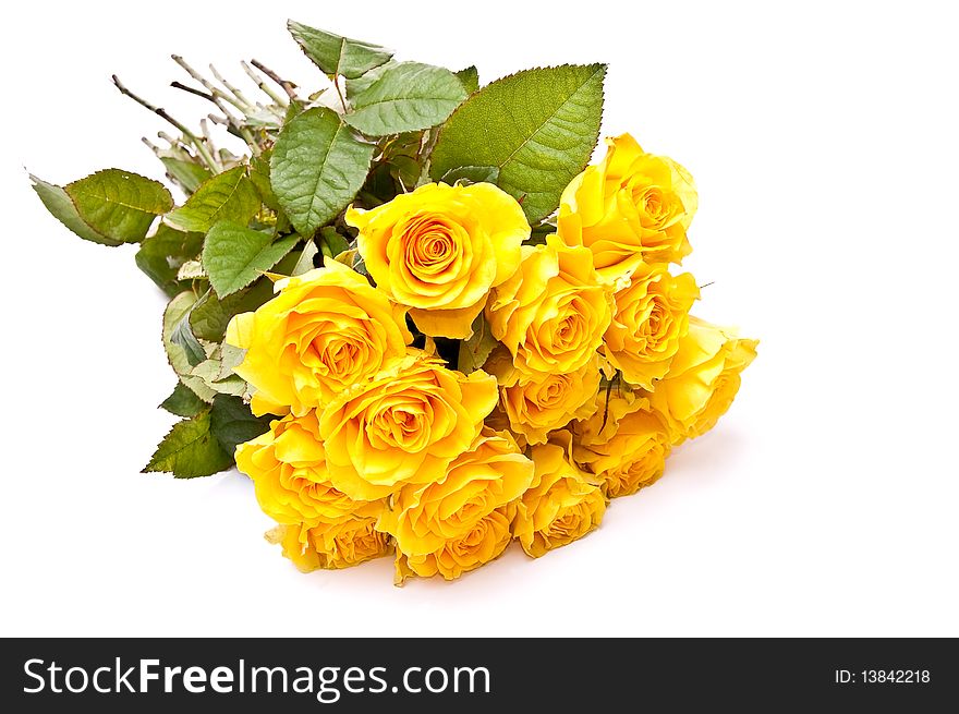 Bunch of yellow roses on white background. Bunch of yellow roses on white background