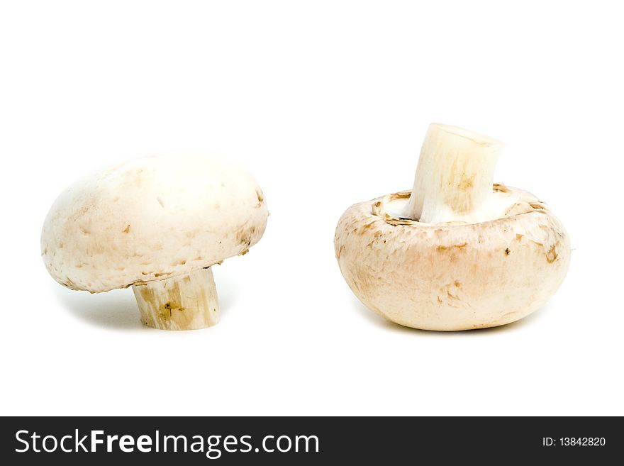 Mushrooms On A White Background