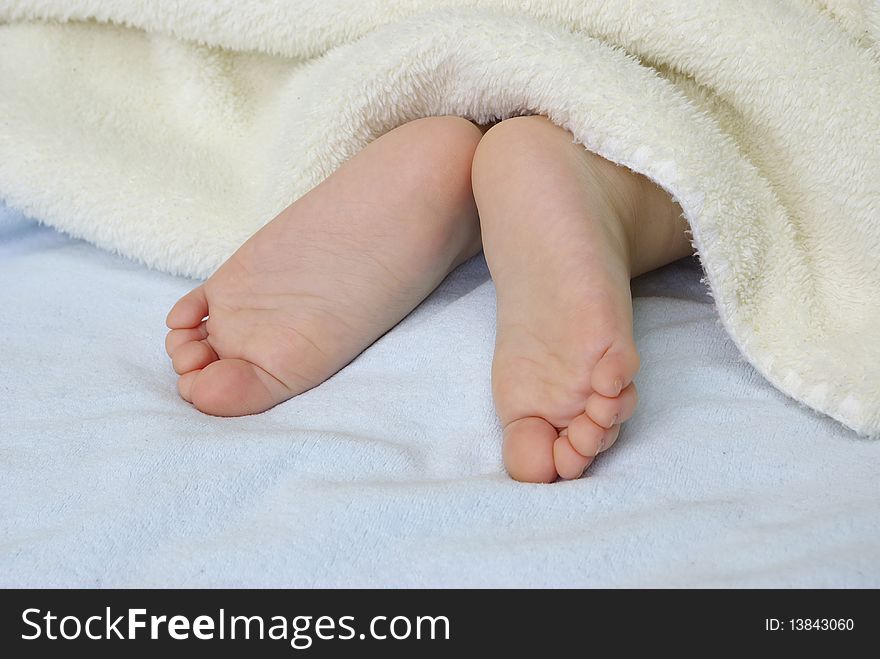 Newborn Baby Feet Under a white Blanket. Newborn Baby Feet Under a white Blanket