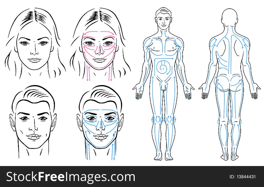 Facial and body massaging lines for man and woman