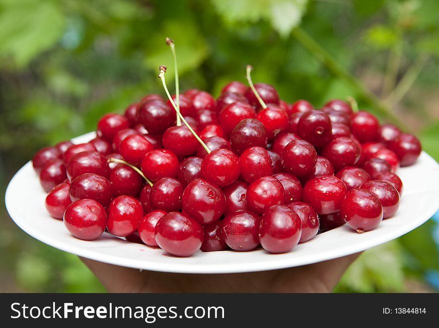 Tasty cherries on the plate outdoors