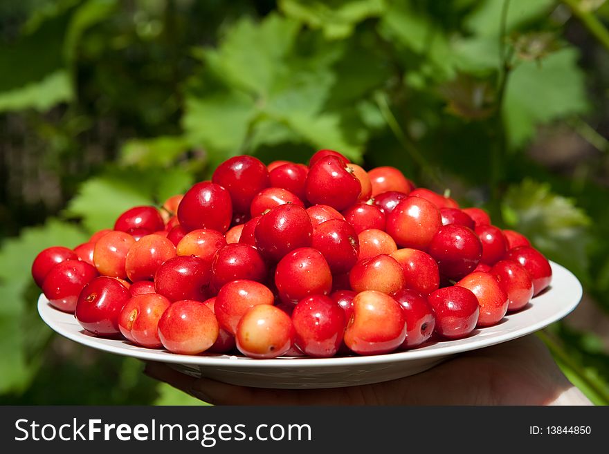 Tasty cherries on the plate outdoors