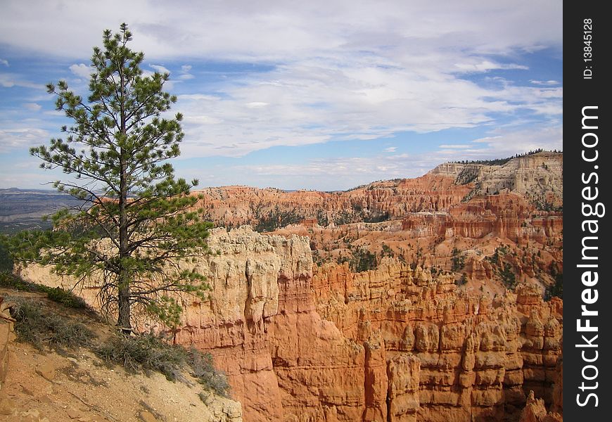 View to the Bryce canyon
