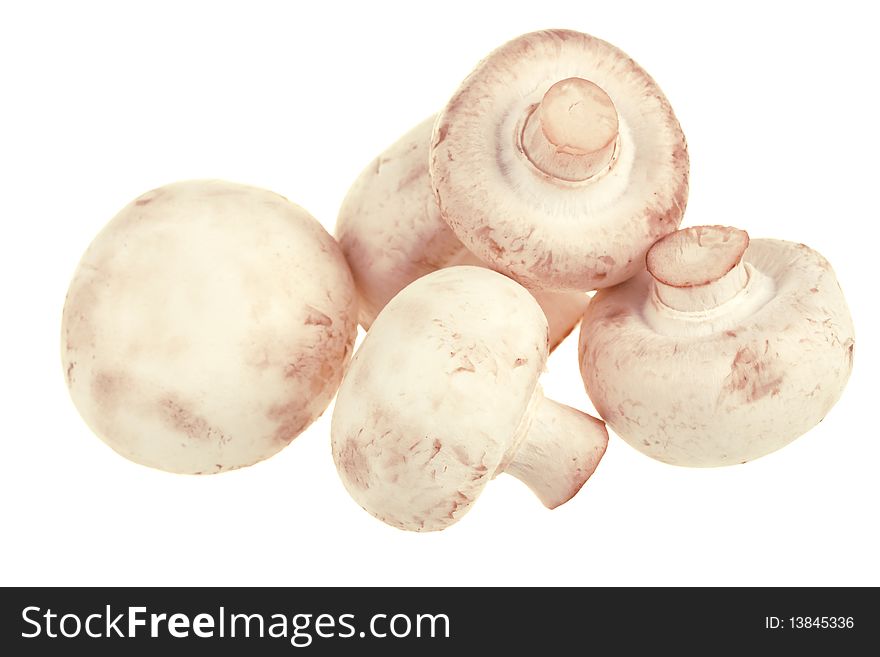 Fresh white champignons isolated on white background