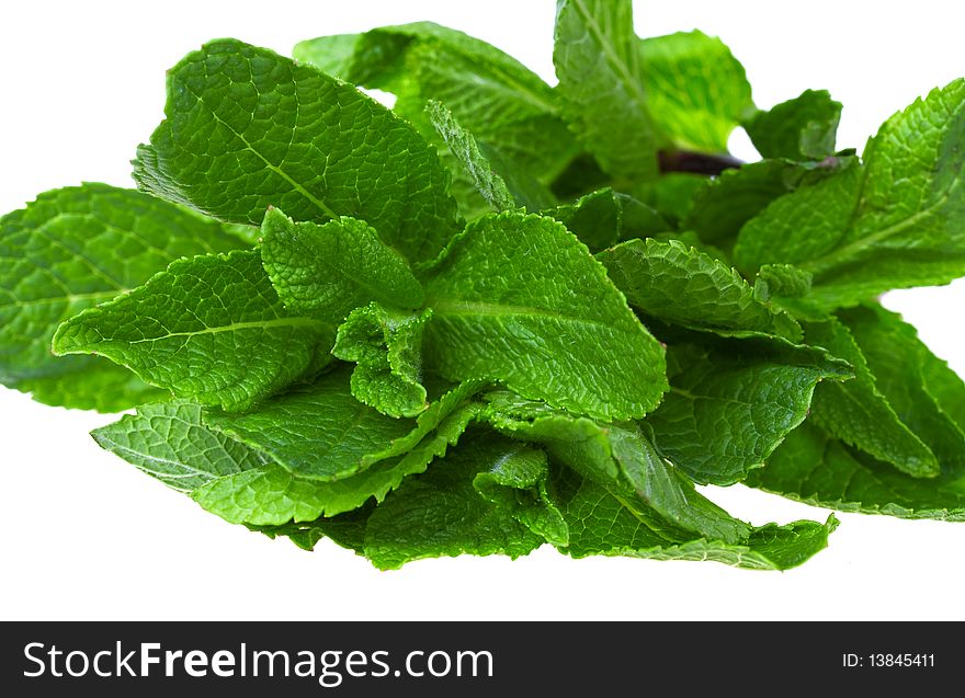 Fresh green mint isolated on white background