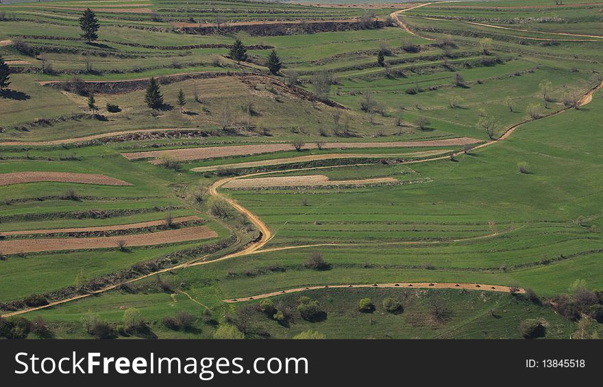 Fields in spring with trees and roads. Fields in spring with trees and roads