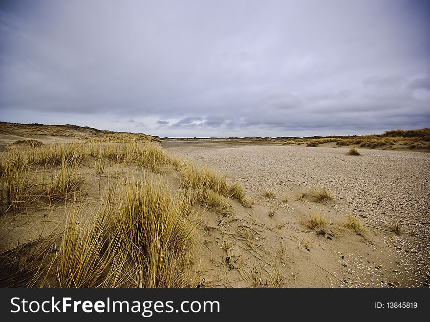 Dunes Of Texel