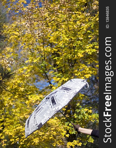 Photo of umbrella and autumn leaves on background