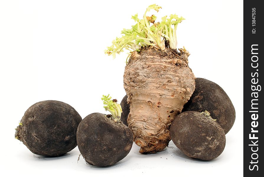 Celeriac (celery root) with black radishes isolated on white. Celeriac (celery root) with black radishes isolated on white