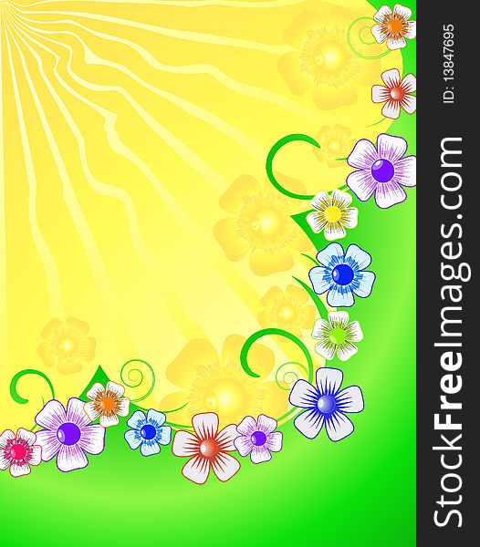 Bright, colorful background with wild flowers. Bright, colorful background with wild flowers