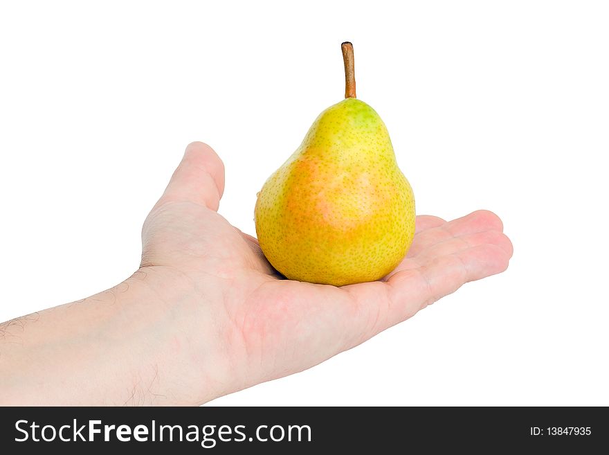On hand is an  pear, isolated on white background. On hand is an  pear, isolated on white background.