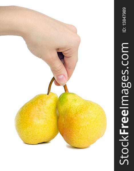 Hand holding two pears on a white background. Hand holding two pears on a white background.