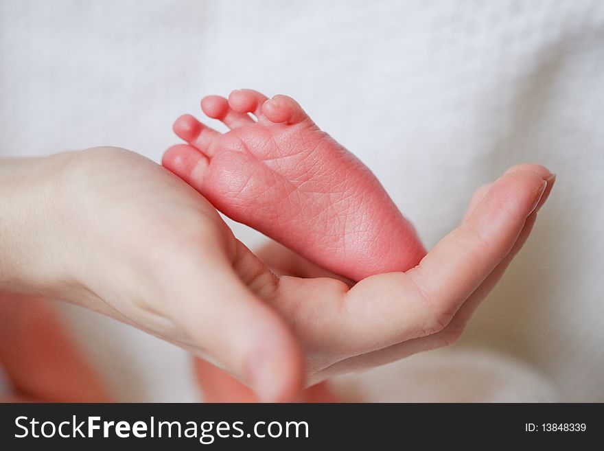 Adorable newborn baby feet