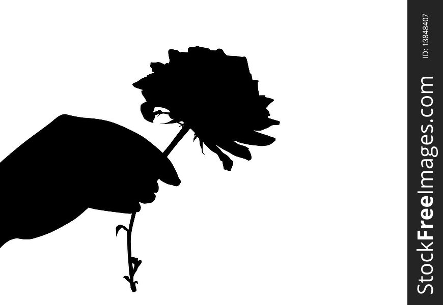 Silhouette Of Hand With Rose