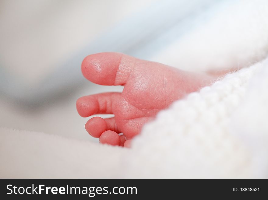Adorable newborn baby feet