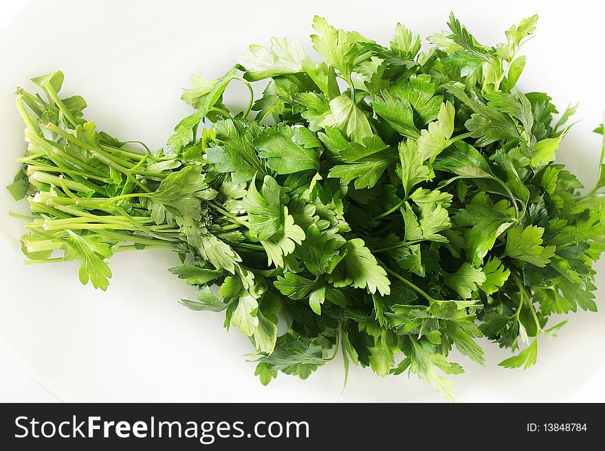 Shot of a fresh bunch of parsley