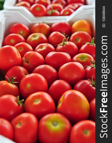 Tomatoes At The Market