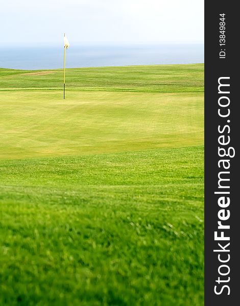 Green on a golf course with a red flag on a yellow flag pole.