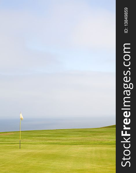 Green on a golf course with a red flag on a yellow flag pole.