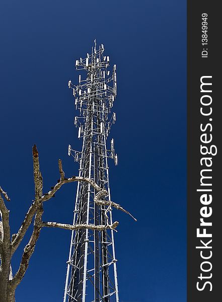 Antennas on communication tower against a blue sky with dead tree in the front.