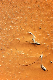 Free Desert Structure Royalty Free Stock Photography - 13851997