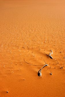 Free Desert Structure Stock Image - 13852011