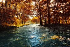 Autumn Stock Image Autumn Stock Image
