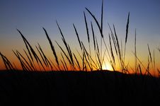 Sundown Royalty Free Stock Photography Sundown Royalty Free Stock Photography