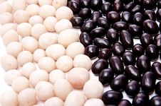 Black And White Nuts Royalty Free Stock Photos Black And White Nuts Royalty Free Stock Photos