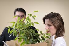Fired Female Leaving Office With Her Stuff Stock Photography Fired Female Leaving Office With Her Stuff Stock Photography