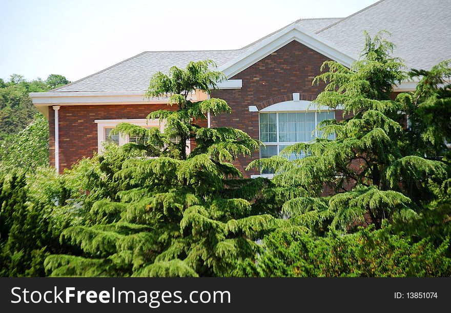 Part of a house. Front yard.