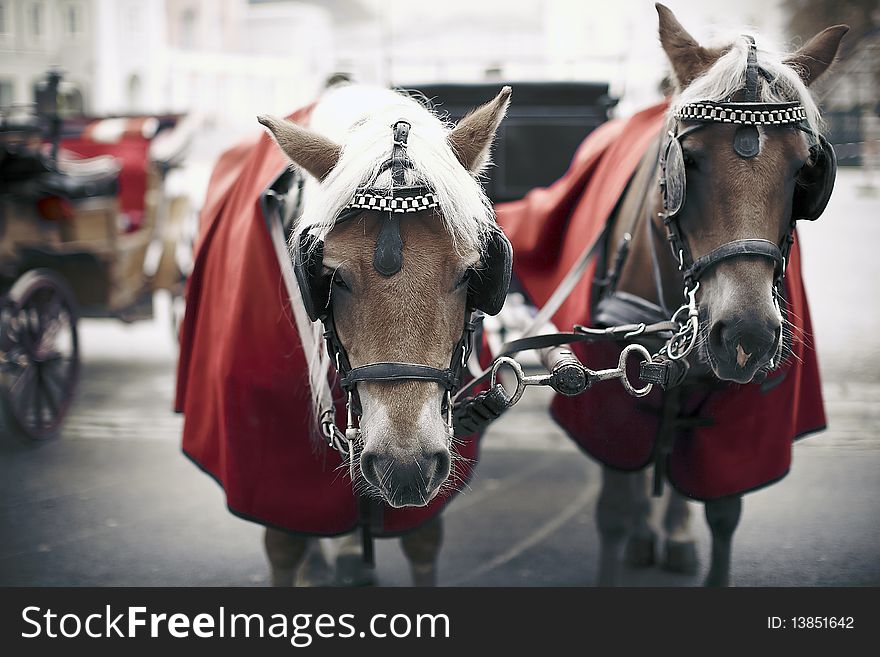 Two horse driven carriage in europe, austria