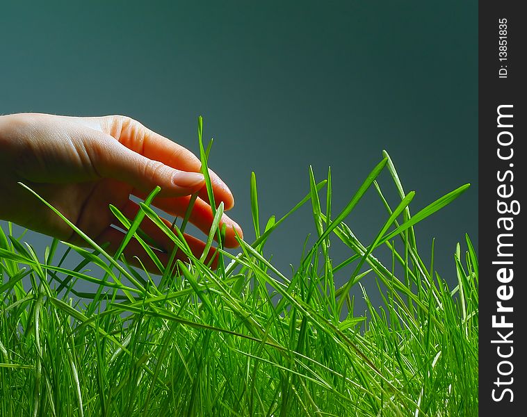 Hand and wet green grass over gray background