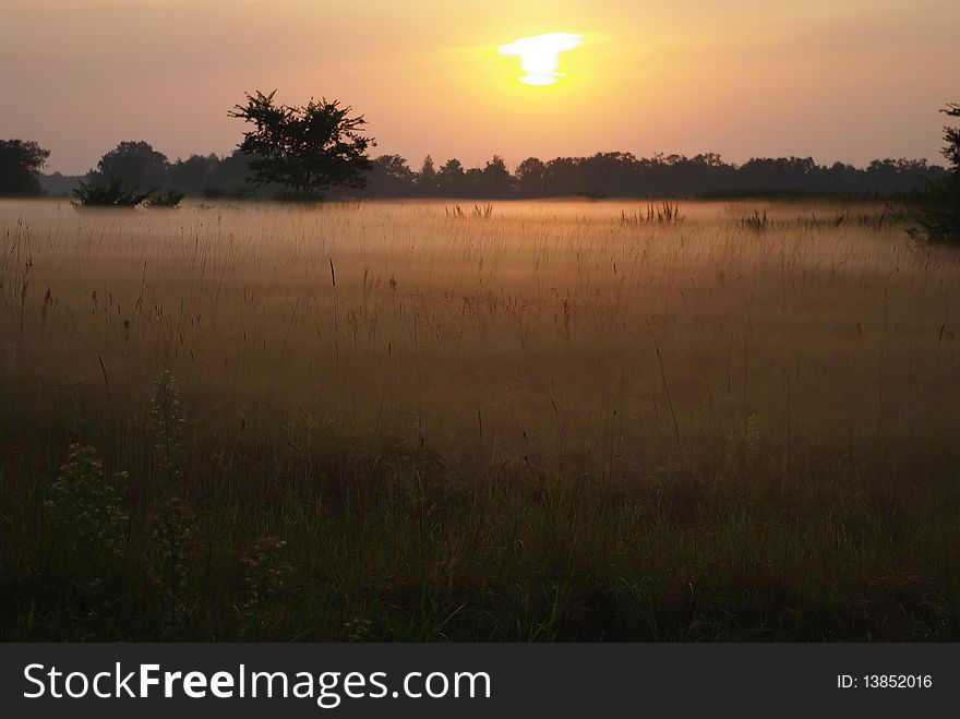 Sunset over the field in the fog