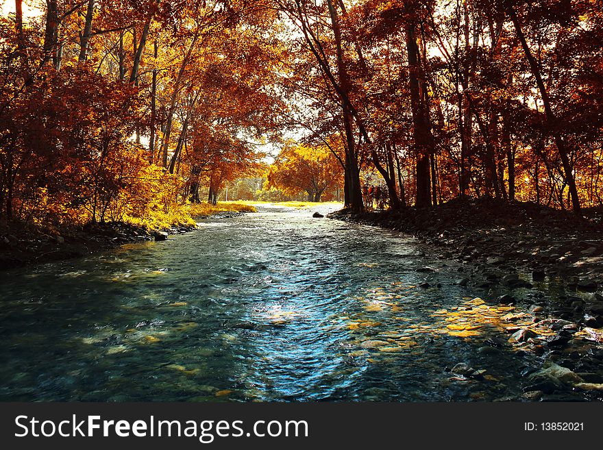 Autumn trees and cold river with clear water