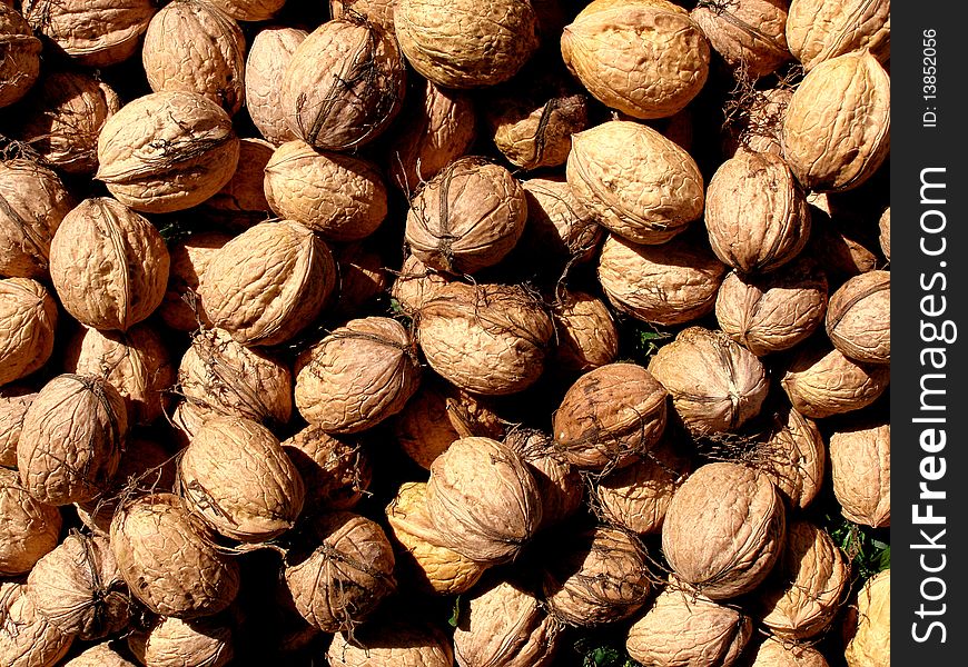 Photo of natural walnuts from orchard. Photo of natural walnuts from orchard